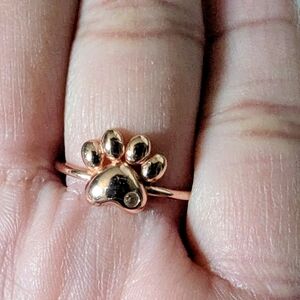 Delicate Rose Gold Women's Band